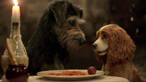 Disney releases trailer for live-action ‘Lady and the Tramp’ | FOX 5 San Diego