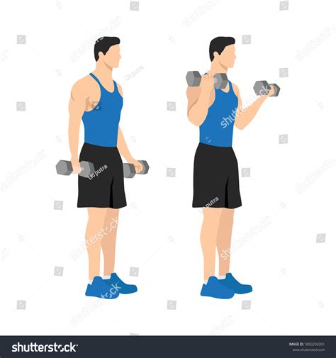 360 Cartoon Bicep Curl Royalty-Free Photos and Stock Images | Shutterstock