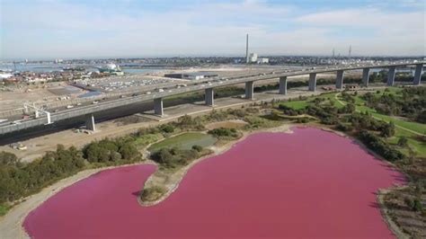 Lake turns pink overnight in Melbourne, Australia video nd pictures - Strange Sounds