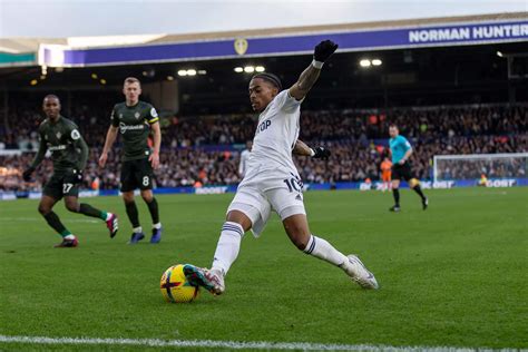 Every Leeds United player's average rating since the World Cup break ...