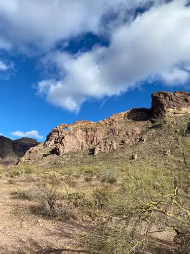 10 Best Hikes and Trails in Organ Pipe Cactus National Monument | AllTrails