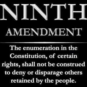 Constitution's Ninth Amendment: Protecting Unenumerated Rights - David J. Shestokas