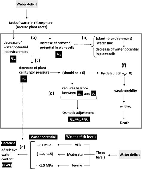 Water-Linked Constraints and Plant Protection Needs | SpringerLink