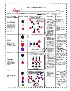 Macromolecule Chart (Biomolecules to Draw and Make) by Biology Buff