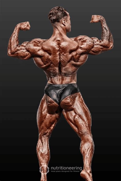 Chris Bumstead Back Pose Indian Bodybuilder, Muscular Back, Gym ...