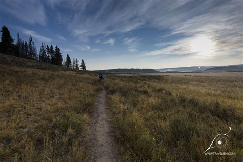 Mary Mountain Trail- Hayden Valley — Inspired By Nature