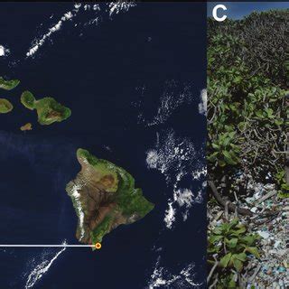 Location and characteristics of Kamilo Beach. (A) Location of Kamilo... | Download Scientific ...