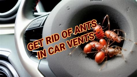 How To Get Rid Of Ants In Car Vents Permanently?