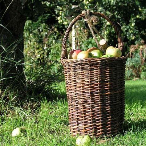 Fruit Picking Basket — The Worm that Turned - REVITALISING YOUR OUTDOOR ...