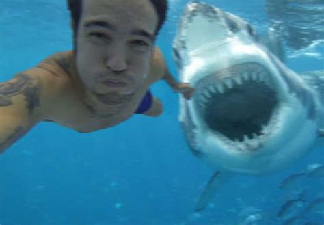 The Top Ten Most Outrageous Shark Attacks Ever - Innewsweekly