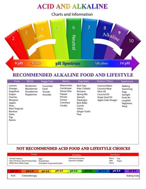 Acid and Alkaline Chart - Herbaldashery