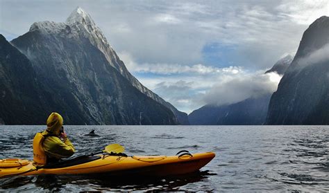 New Zealand Wildlife Tours | Active Adventures