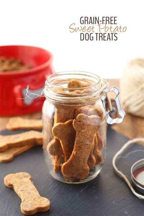 Grain-Free Sweet Potato Dog Treats - The Healthy Maven