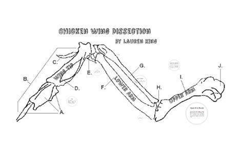 Chicken Wing Dissection by Lauren King on Prezi