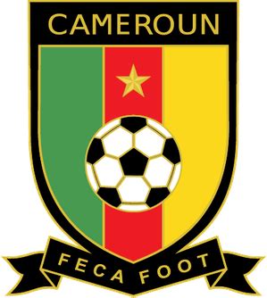 Cameroon National Football Team Color Codes Hex, RGB, and CMYK - Team ...