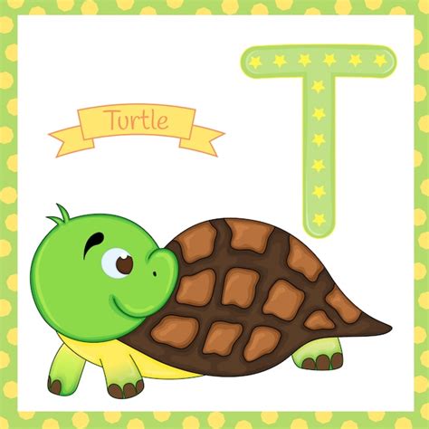 Premium Vector | Alphabet of animals. t for turtle.