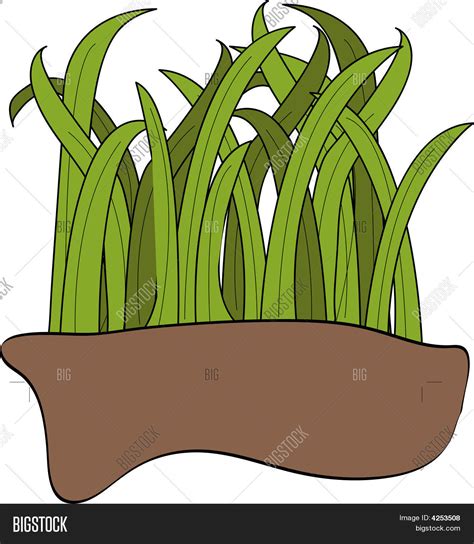 Grass Dirt Vector & Photo (Free Trial) | Bigstock