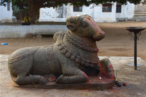 Journeys across Karnataka: Kashi Vishwanatha temple, Penukonda