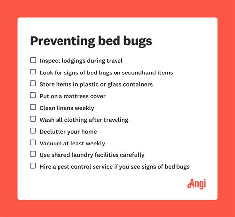 Top 10 Bed Bug Prevention Tips: How to Keep Your Home Infestation-Free - Huffington News