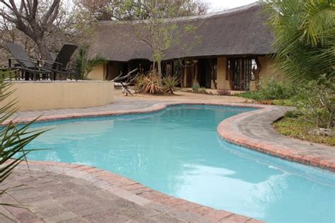 I doubt there are better safari lodges out there - Review of Kambaku Safari Lodge, Timbavati ...