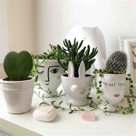 How to Decorate Your Home With Plants | Indoor flower pots, Plant pot ...