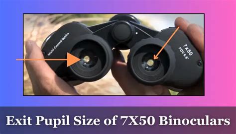 7X50 vs 10X50 Binoculars – Which One is Better For You in 2024?