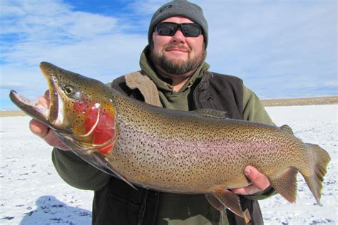 Antero Reservoir Fishing