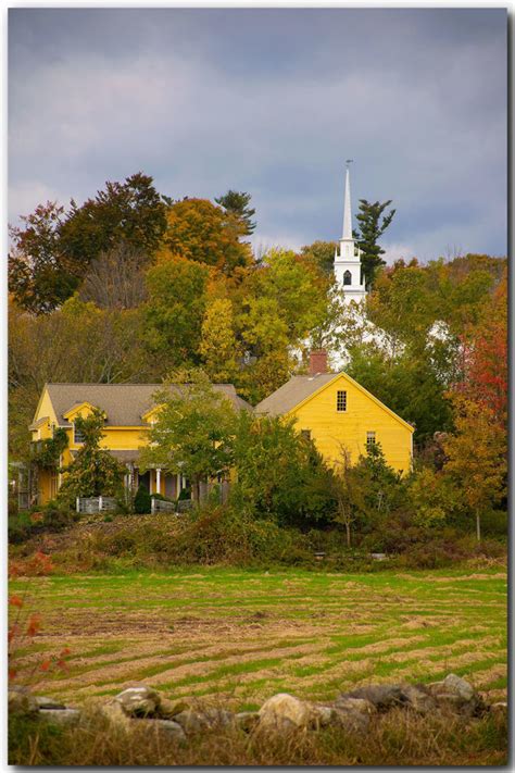 Foliage in Atkinson NH