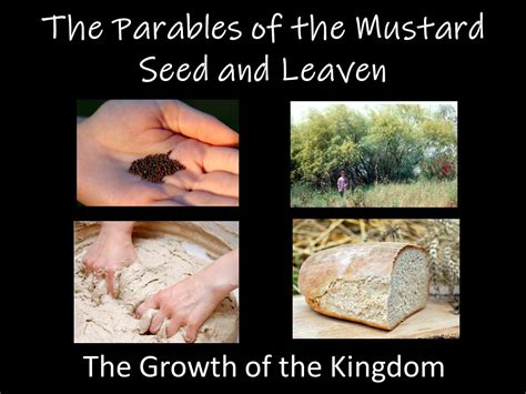 Parables Of Mustard Seed And Leaven – New Lebanon church of Christ