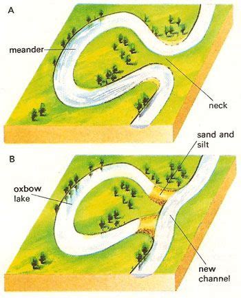 Meander - AmaalAbber