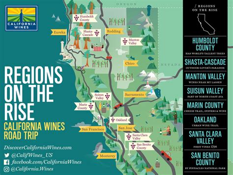 Exploring Southern California’s Wine Country: A Comprehensive Guide To ...