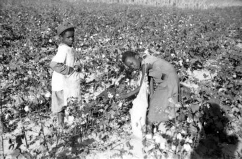 Two young Black girls pick cotton into their sacks | Flickr