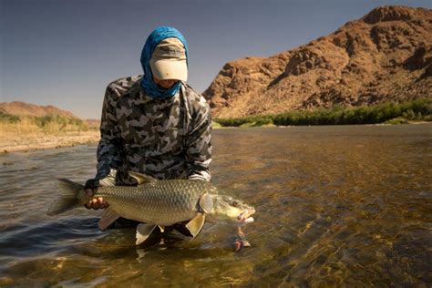 Largemouth yellowfish, Orange River, South Africa - Aardvark McLeod