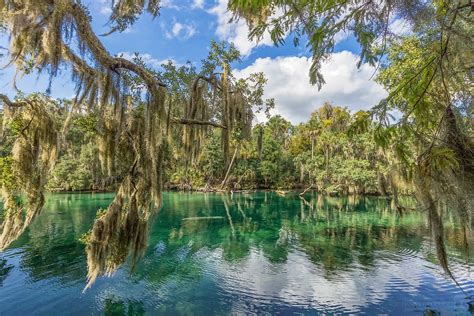 Blue Springs State Park in central Florida [OC] [1280x854] : EarthPorn