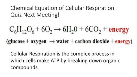 Cellular Respiration Equation