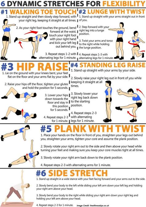 Ballistic Stretching - Tips for Practicing Ballistic Training Safely | Stretches for flexibility ...