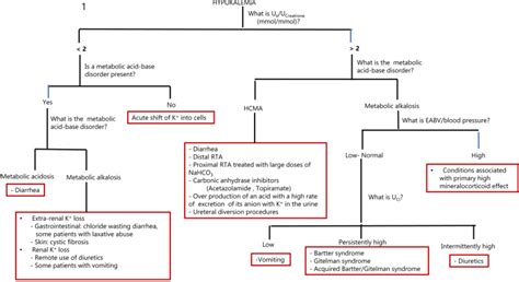 Hypokalemia Approach