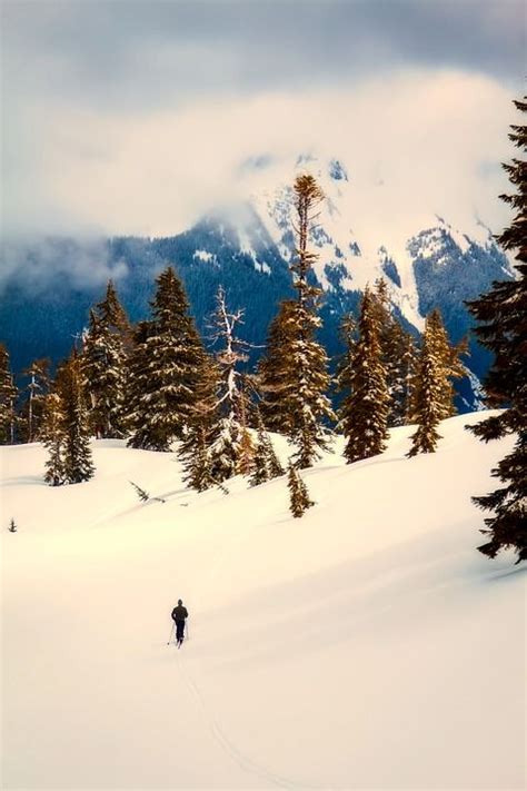 Washington, Usa, Landscape, Winter, Snow, Mountains | Nature preserve ...