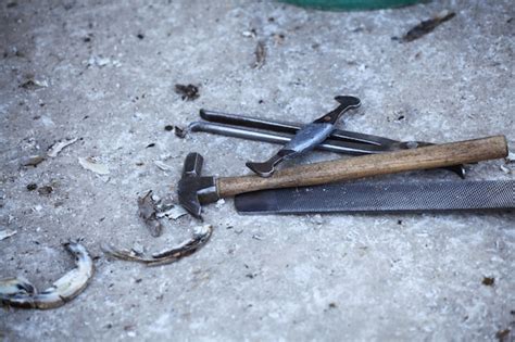 Premium Photo | Farrier tools