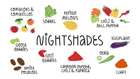 Nightshades | Jillian Michaels