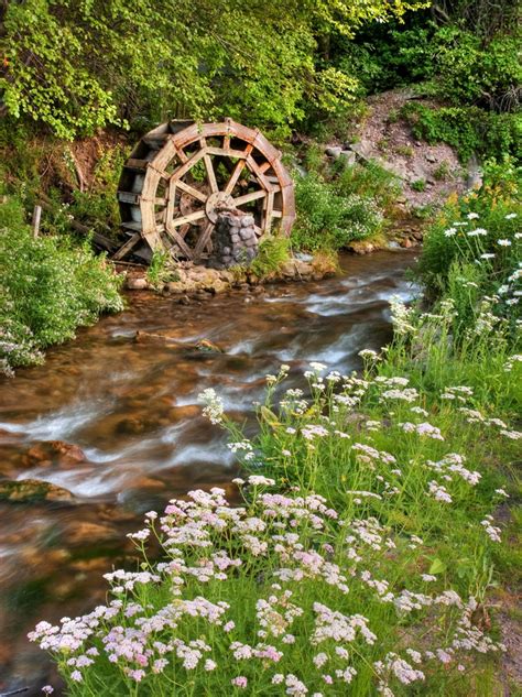 Mill Creek Canyon, Salt Lake City, Utah | Photography | Pinterest