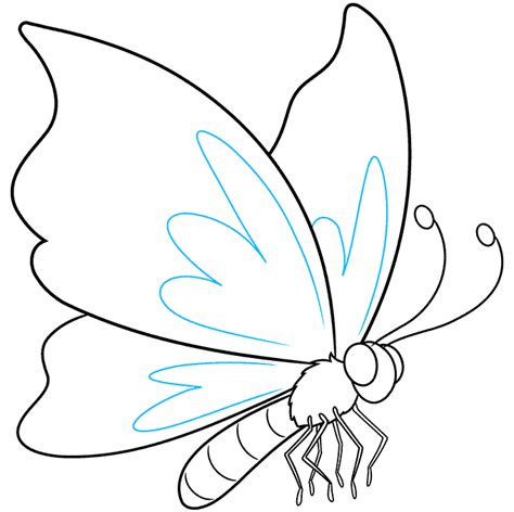 How to Draw a Butterfly in a Few Easy Steps | Easy Drawing Guides