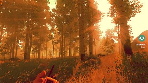 'Firewatch' Video Game Review - Project-Nerd