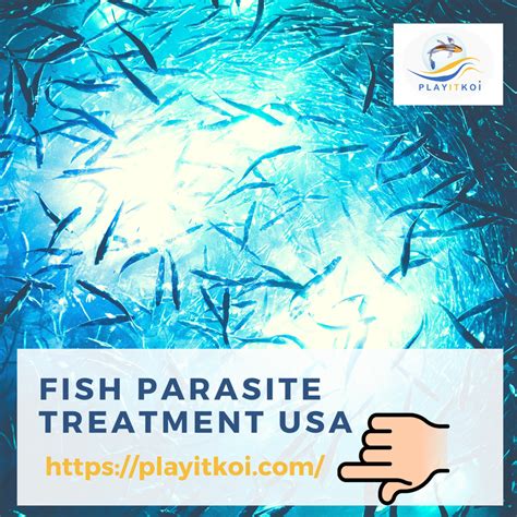 Fish Parasite Treatment USA - JustPaste.it