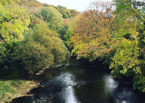 River Tamar | Cornwall For Ever!