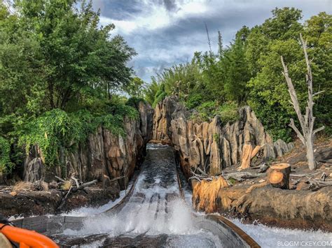 Kali River Rapids Reopens Early from Refurbishment