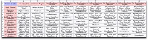 Consanguinity And Affinity Chart