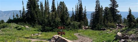 Snowbasin Needles Trail | Map, Guide - Utah | AllTrails