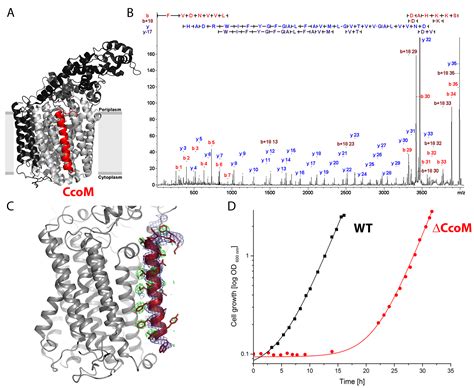 Developing New Mass Spectrometry Solutions: From Individual Membrane ...