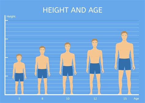 Human Heights, Average Height, Average Heights